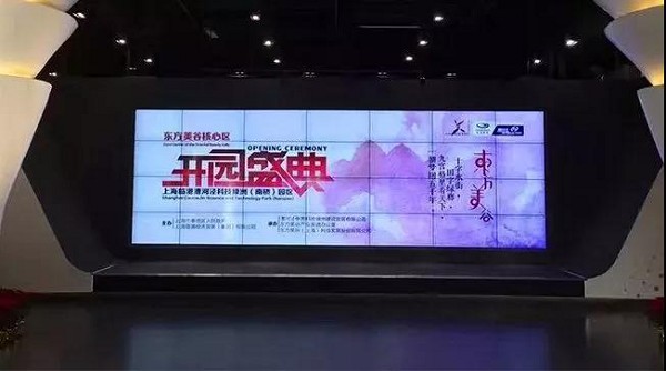 今天，全世界都在想方設(shè)法欺騙你；而我們始終如一